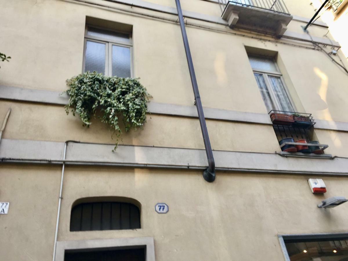 La Gemma Del Quadrilatero Daire Torino Dış mekan fotoğraf